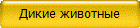Дикие животные